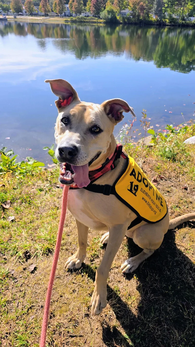 Kiya Lizman thumbnail 3