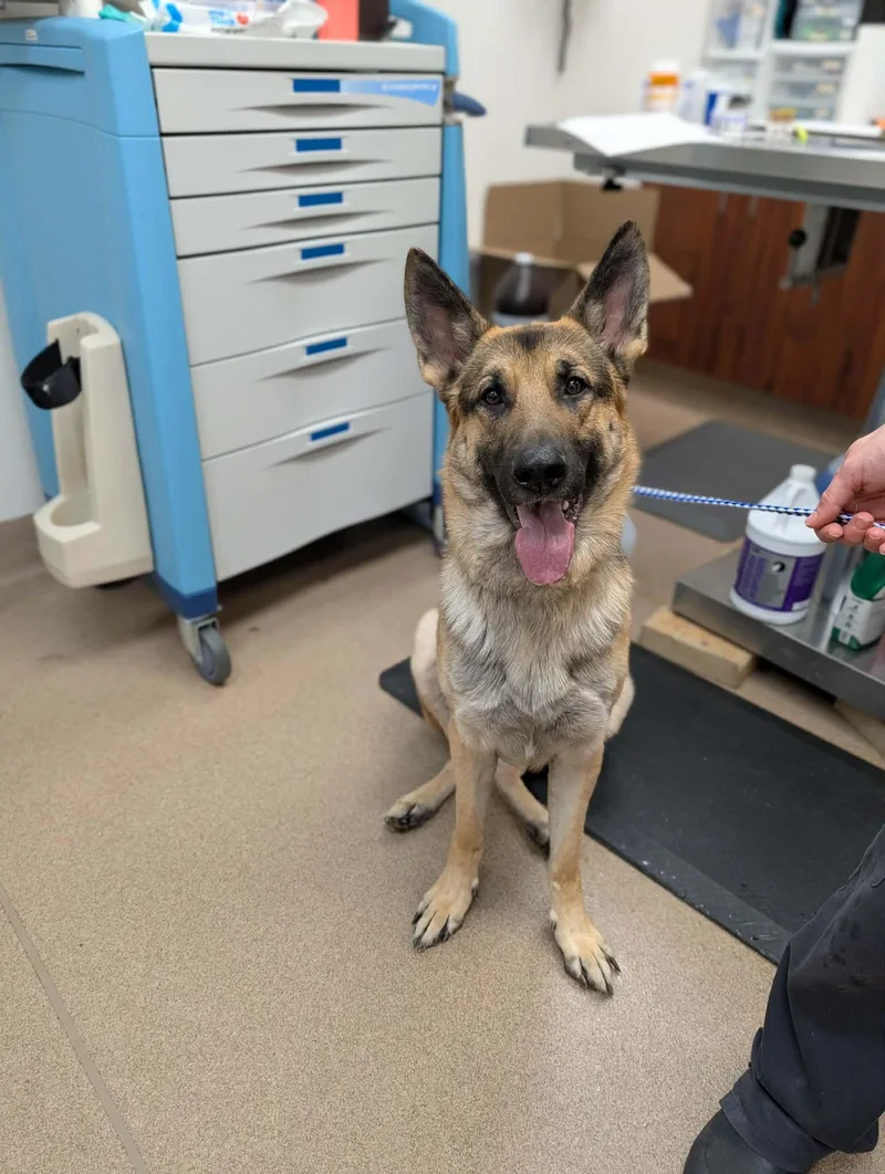 Buba Thunder thumbnail 2