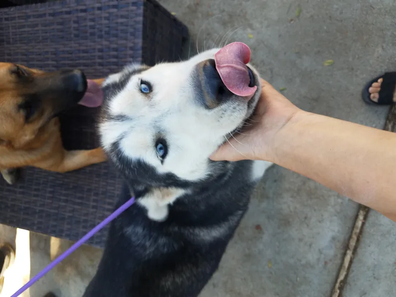 Bluest Eyes thumbnail 2