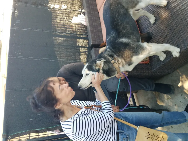 Bluest Eyes thumbnail 3