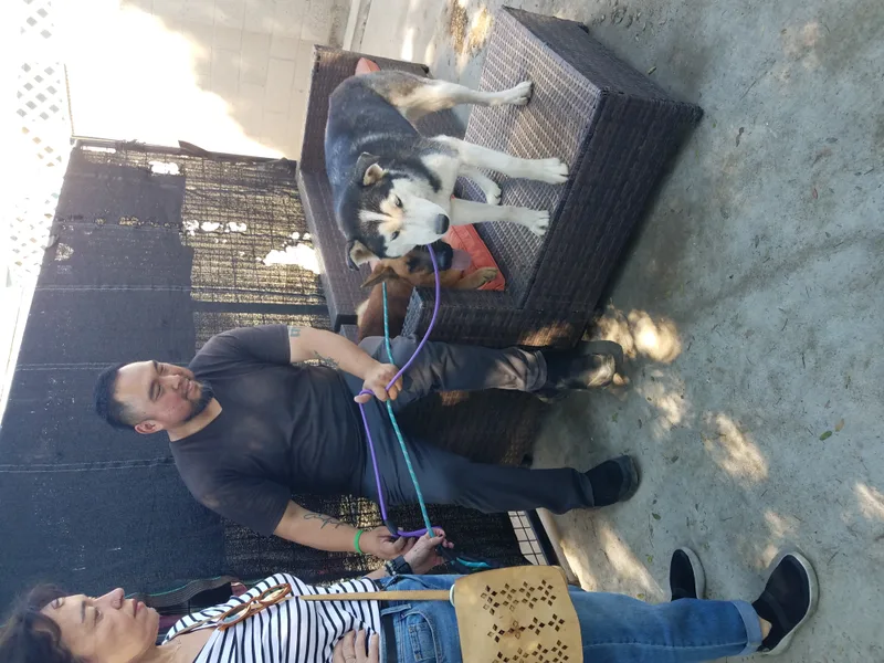 Bluest Eyes thumbnail 5