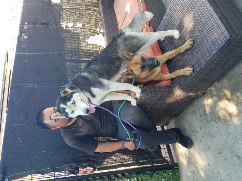 Bluest Eyes thumbnail 6