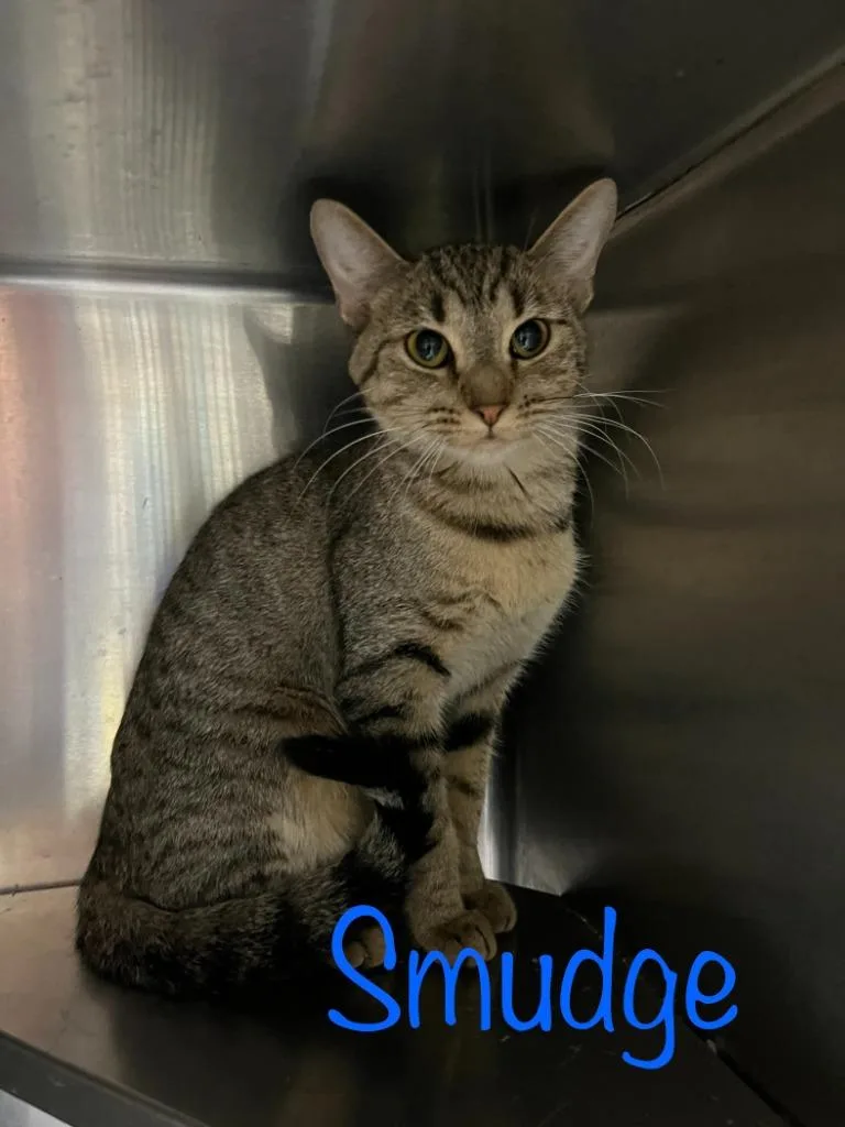 Smudge