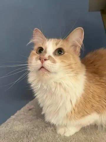 Taylor Swift thumbnail 2