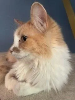 Taylor Swift thumbnail 3