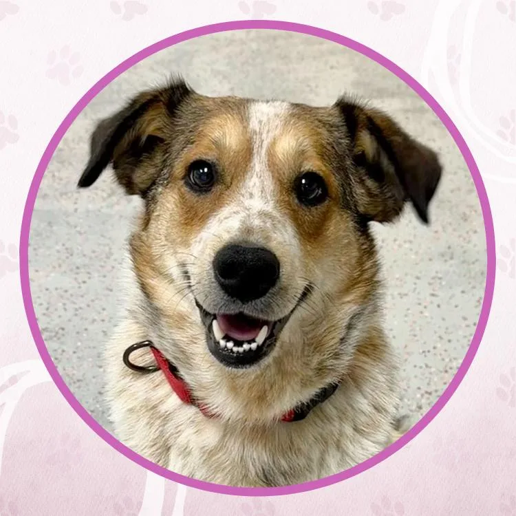 Chanel No. thumbnail 2