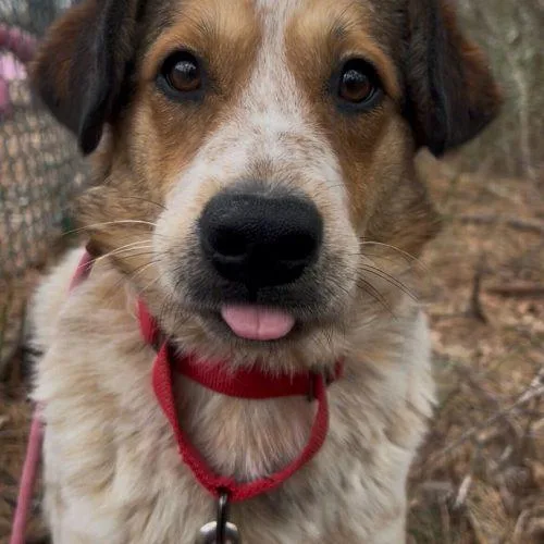 Chanel No. thumbnail 5