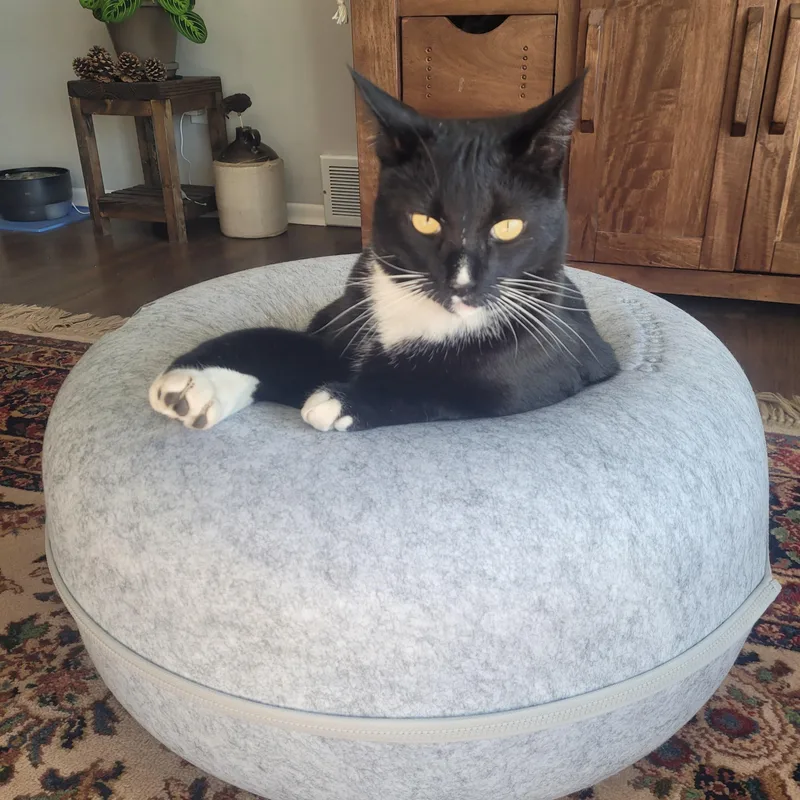 Tux  Handsome Tuxedo thumbnail 3