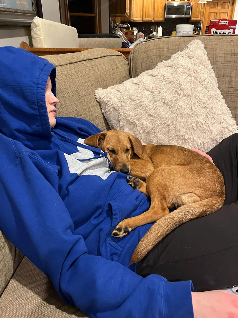 Penelope Louise thumbnail 2