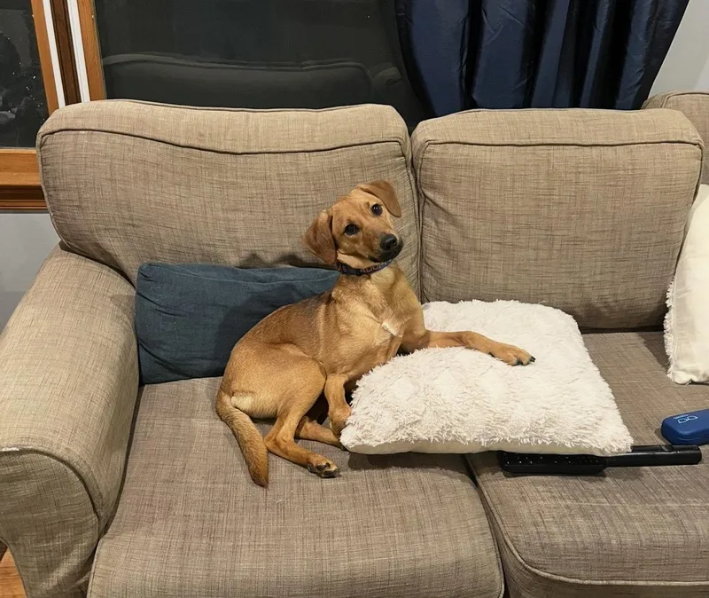 Penelope Louise thumbnail 3