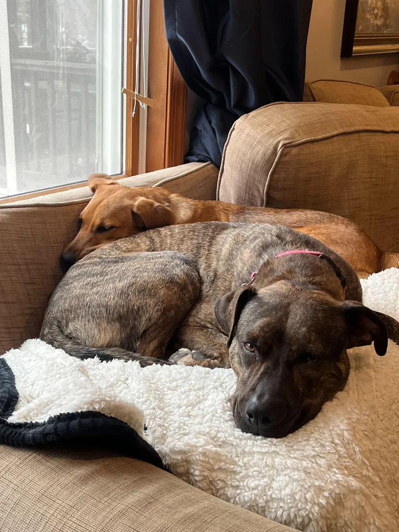 Penelope Louise thumbnail 4