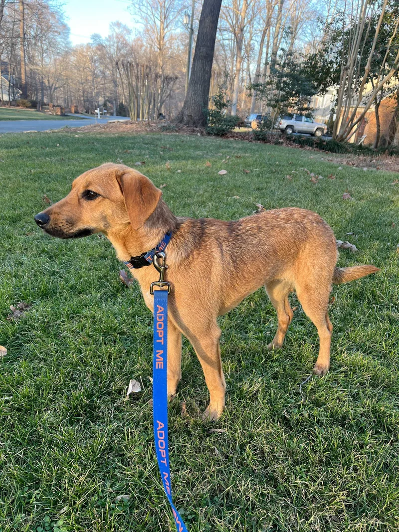 Penelope Louise thumbnail 5