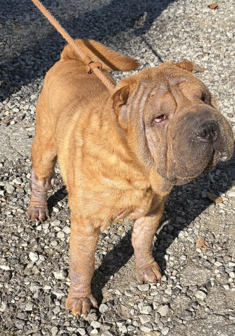 Wrinkles thumbnail 5