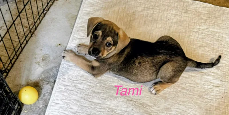 Tami thumbnail 2
