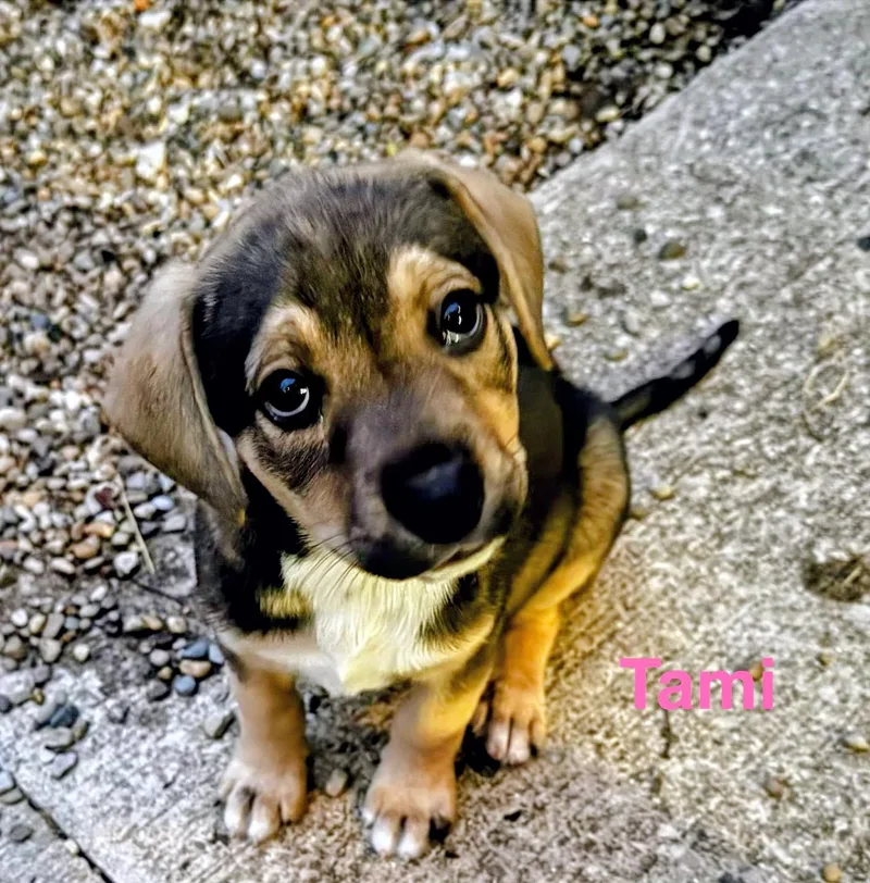 Tami thumbnail 3