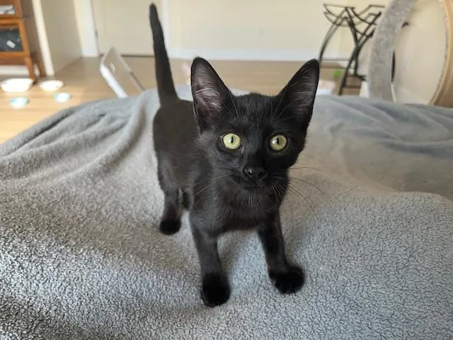 Esme Meaning to Love thumbnail 3