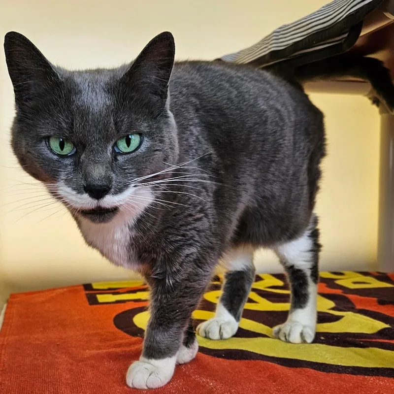 Mae Mobley thumbnail 2