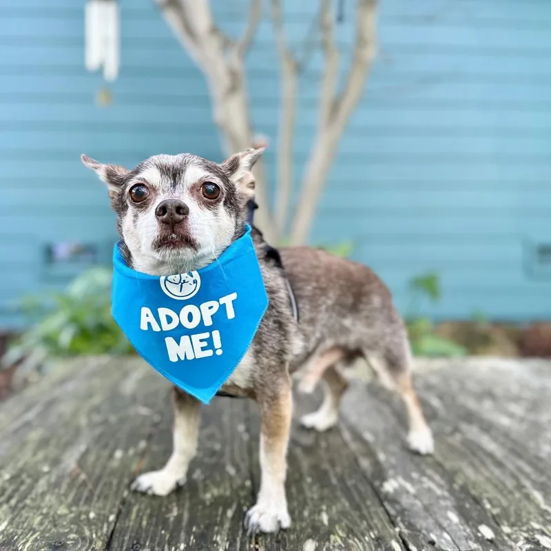 Blockbuster thumbnail 2