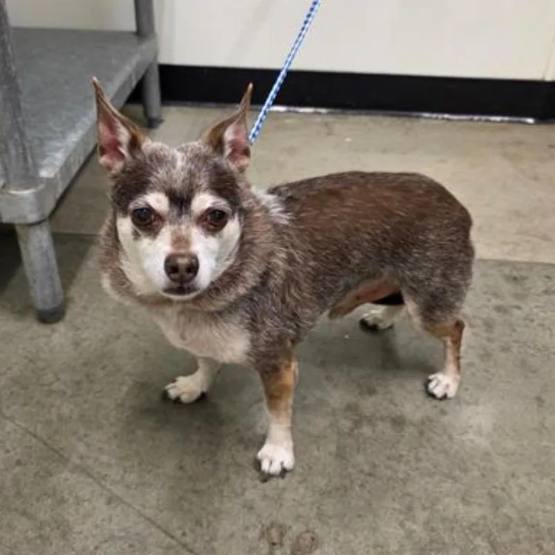 Blockbuster thumbnail 3