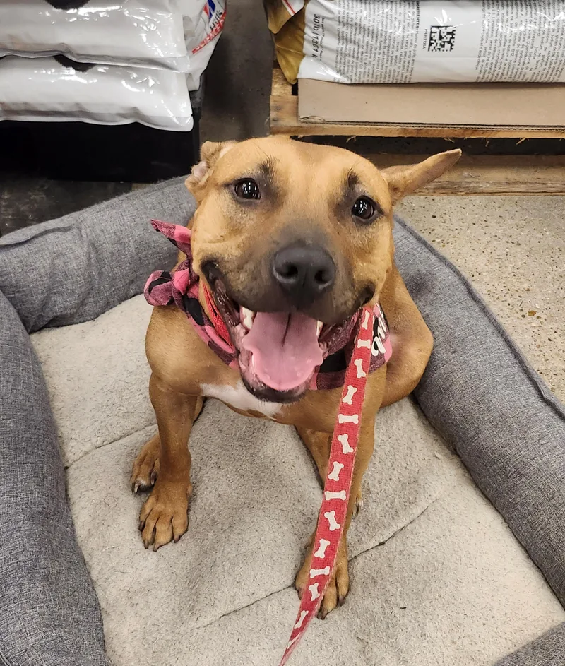 Lorie Darlin thumbnail 3