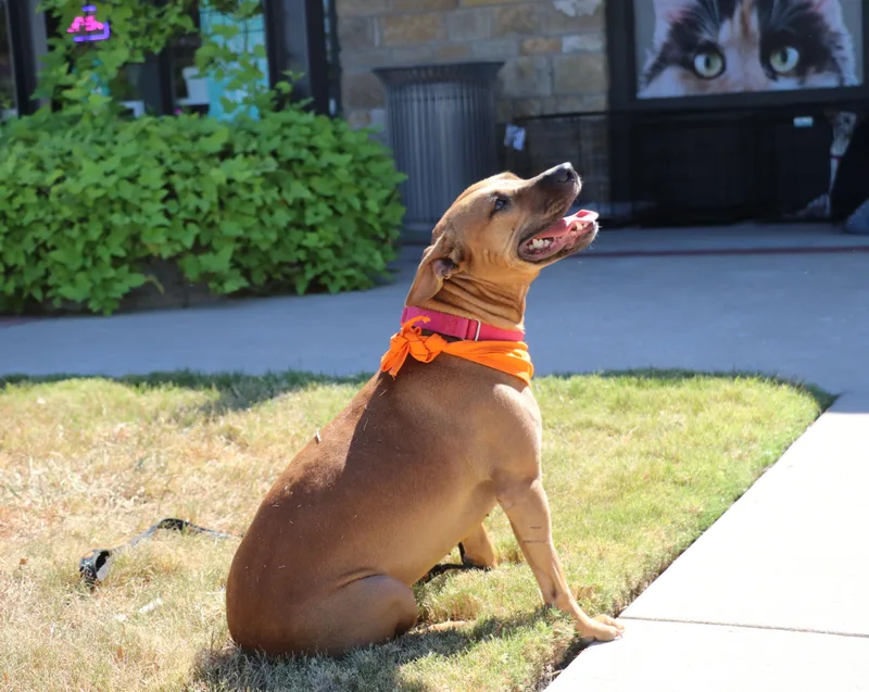 Lorie Darlin thumbnail 4