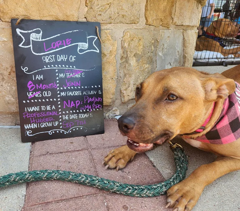 Lorie Darlin thumbnail 6