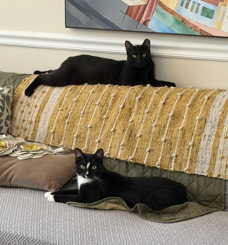 Midnight & Alex thumbnail 2