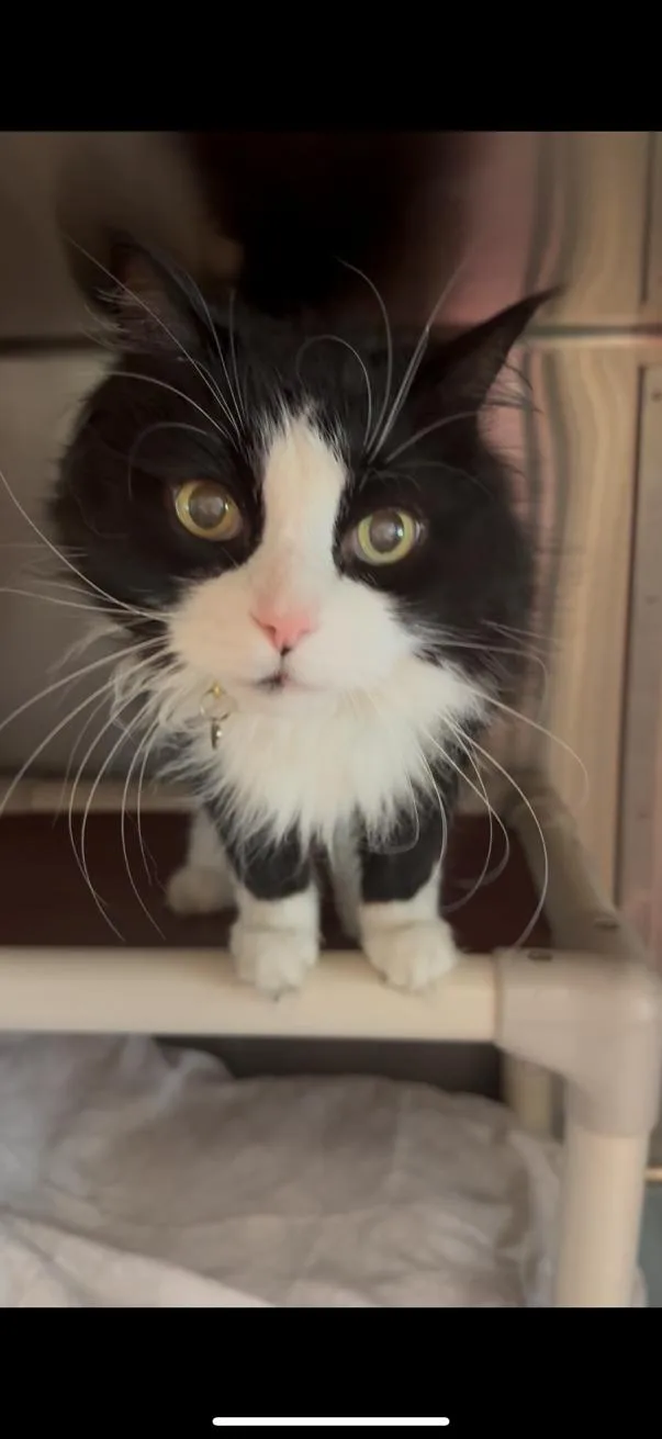 Boo Boo In Prison thumbnail 4