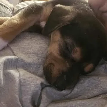 Precious