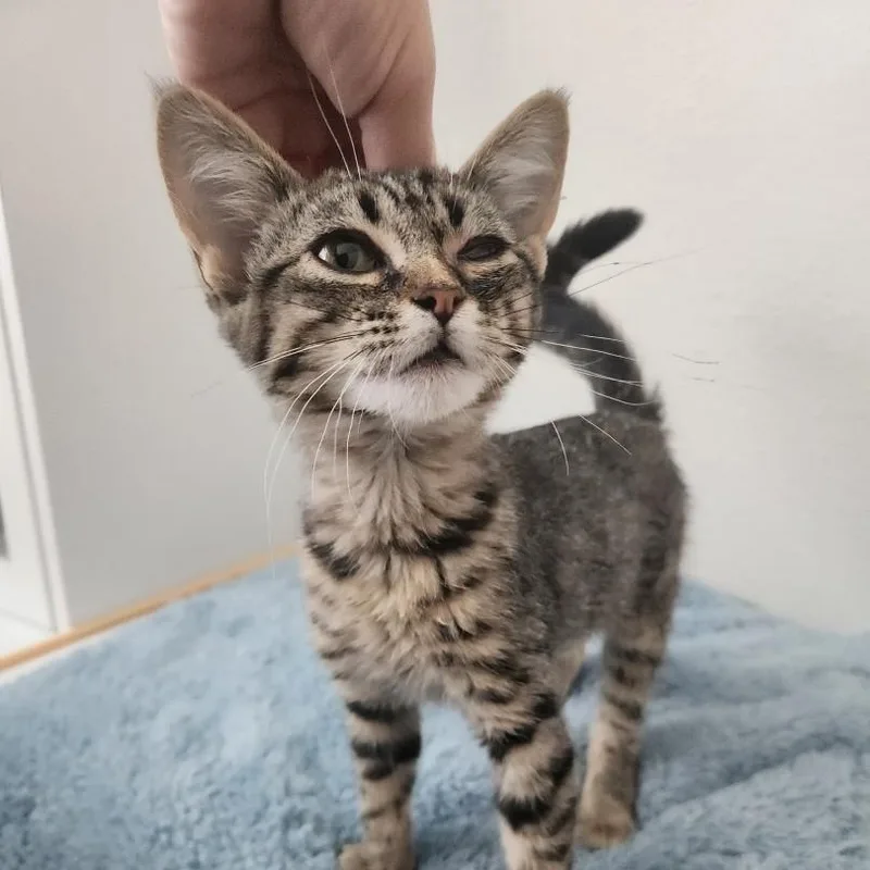 Polly McAtee thumbnail 5