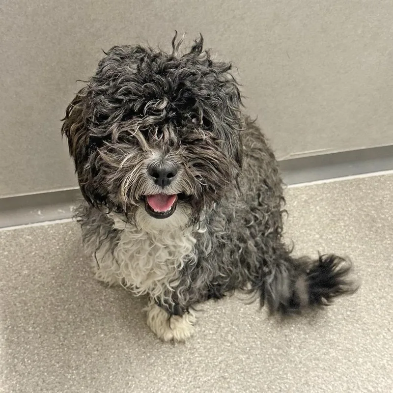 Miss Frizzle thumbnail 3