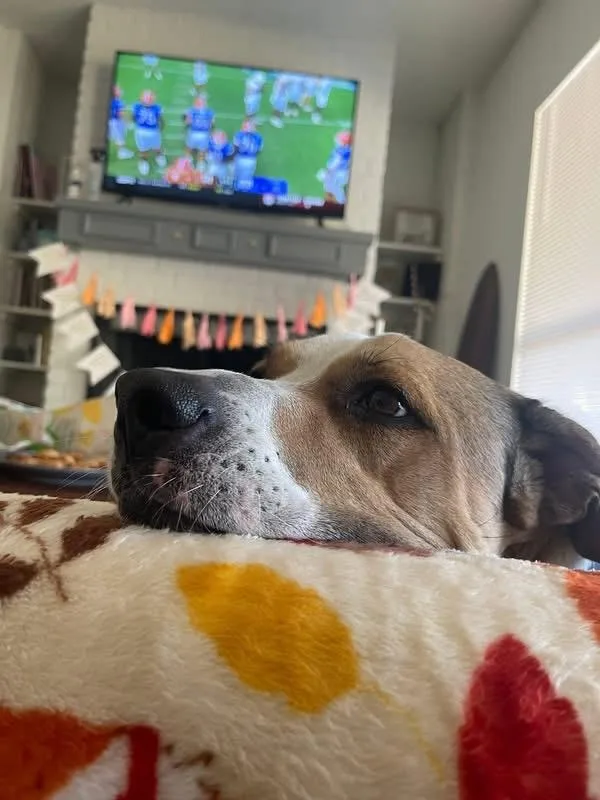 Doobie Dab thumbnail 2