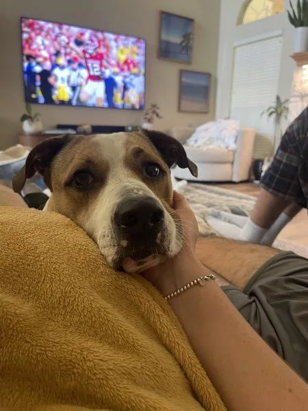 Doobie Dab thumbnail 6