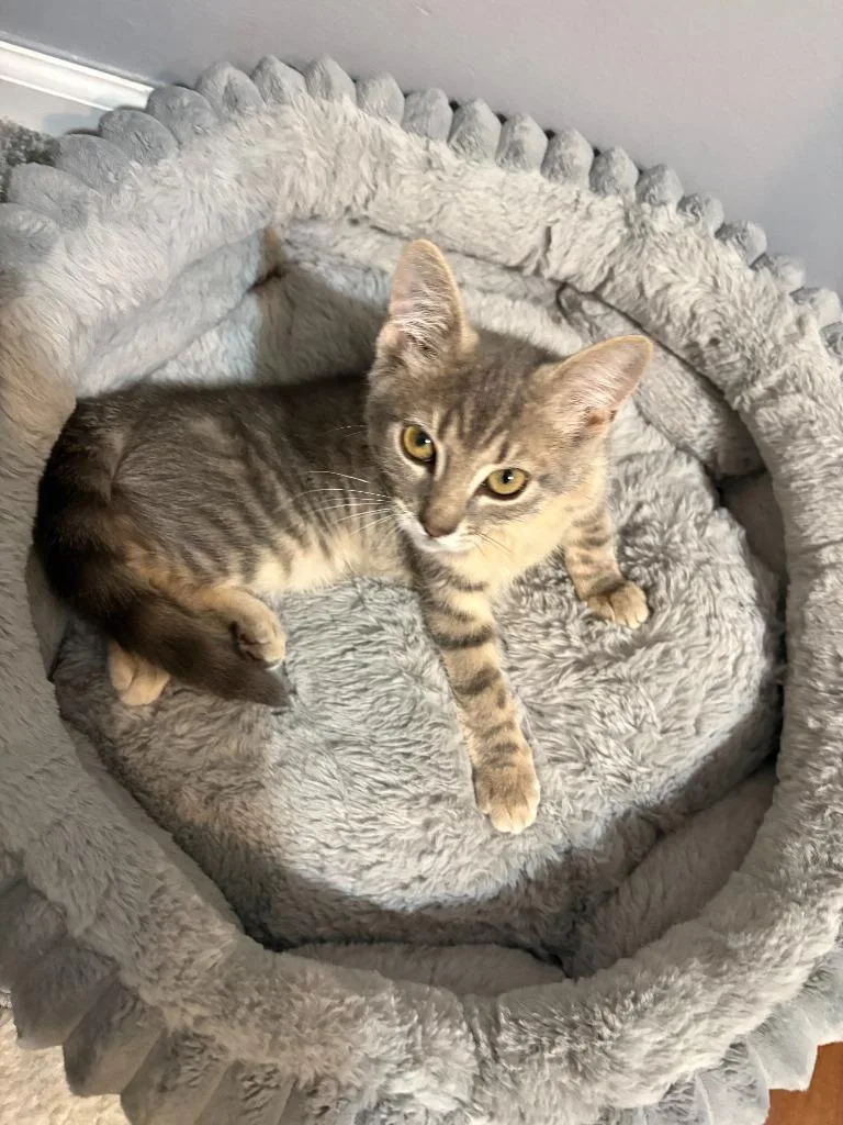Luna