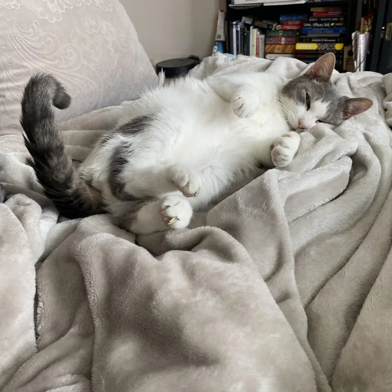 Little Boy thumbnail 5