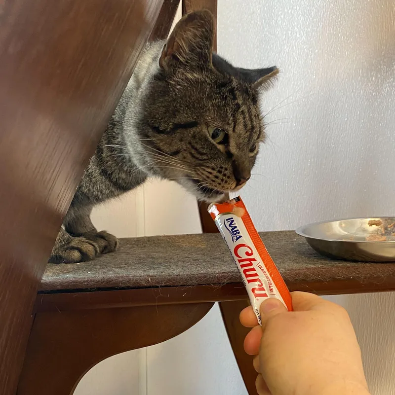 Buzz & Clawd thumbnail 2