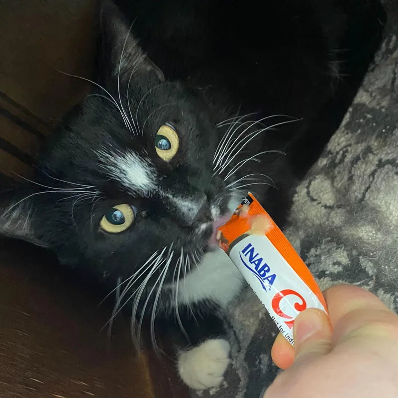 Buzz & Clawd thumbnail 3