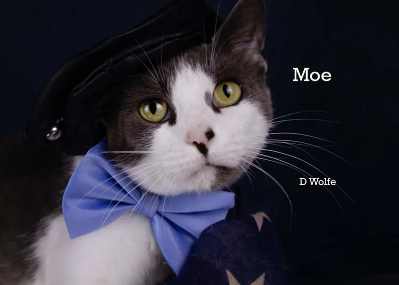Moe thumbnail 2