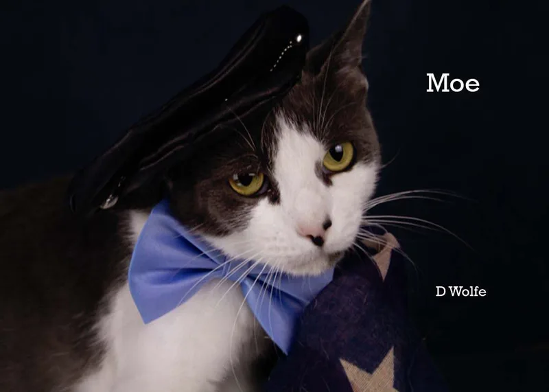 Moe thumbnail 3