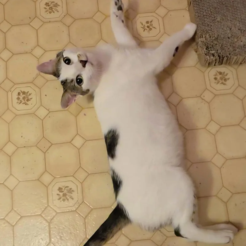 Mama