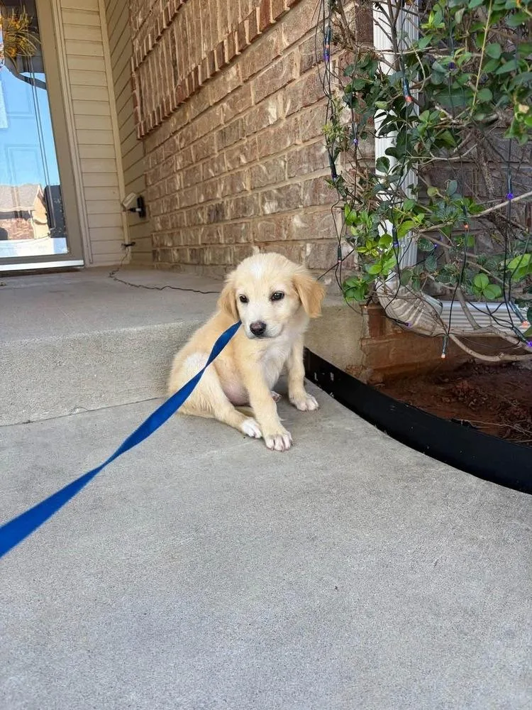 Baby Aspen thumbnail 2