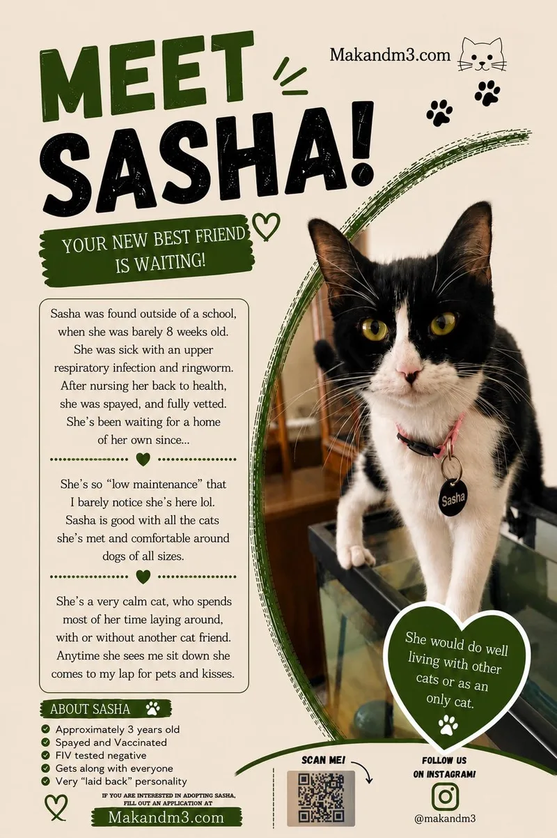 Sasha thumbnail 4