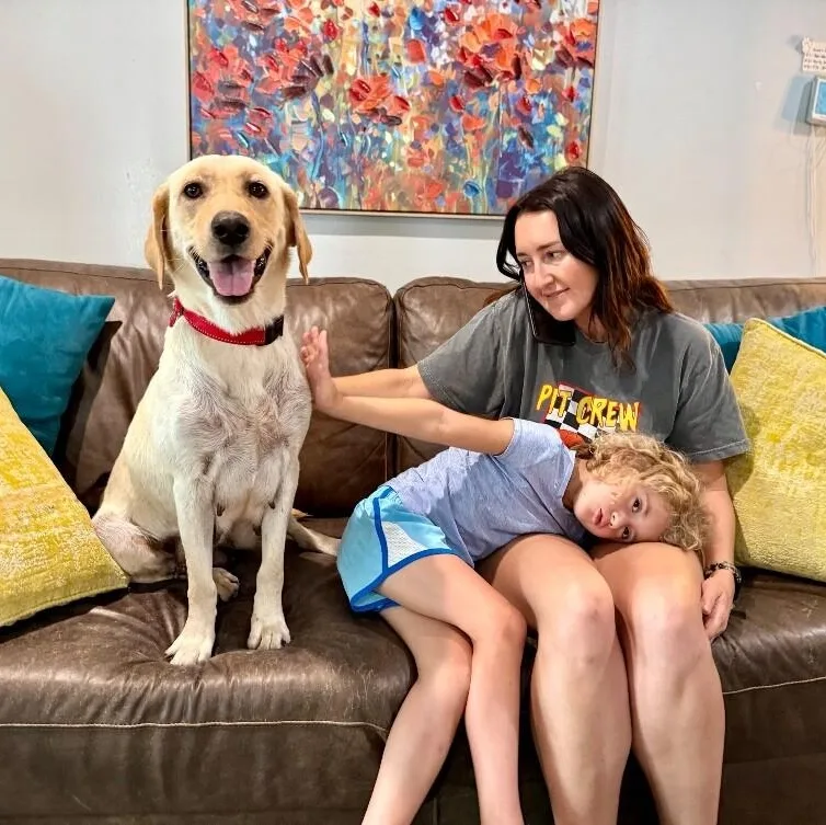 A young large-sized female Yellow / Tan / Blond / Fawn Yellow Labrador Retriever dog named Lacie Love The Fun for adoption in Friendswood, TX
