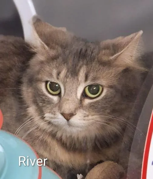 River