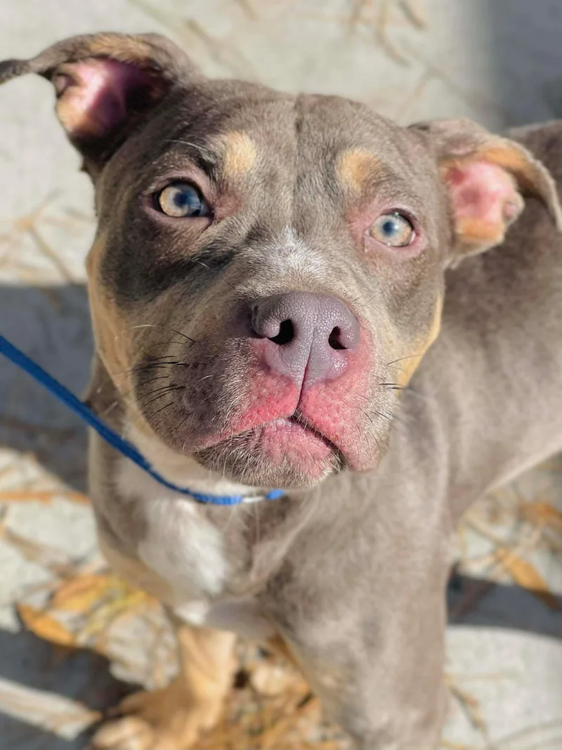 Xena