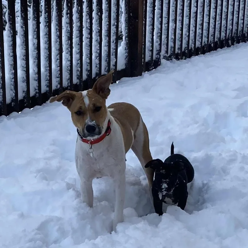 Lil Girl thumbnail 2