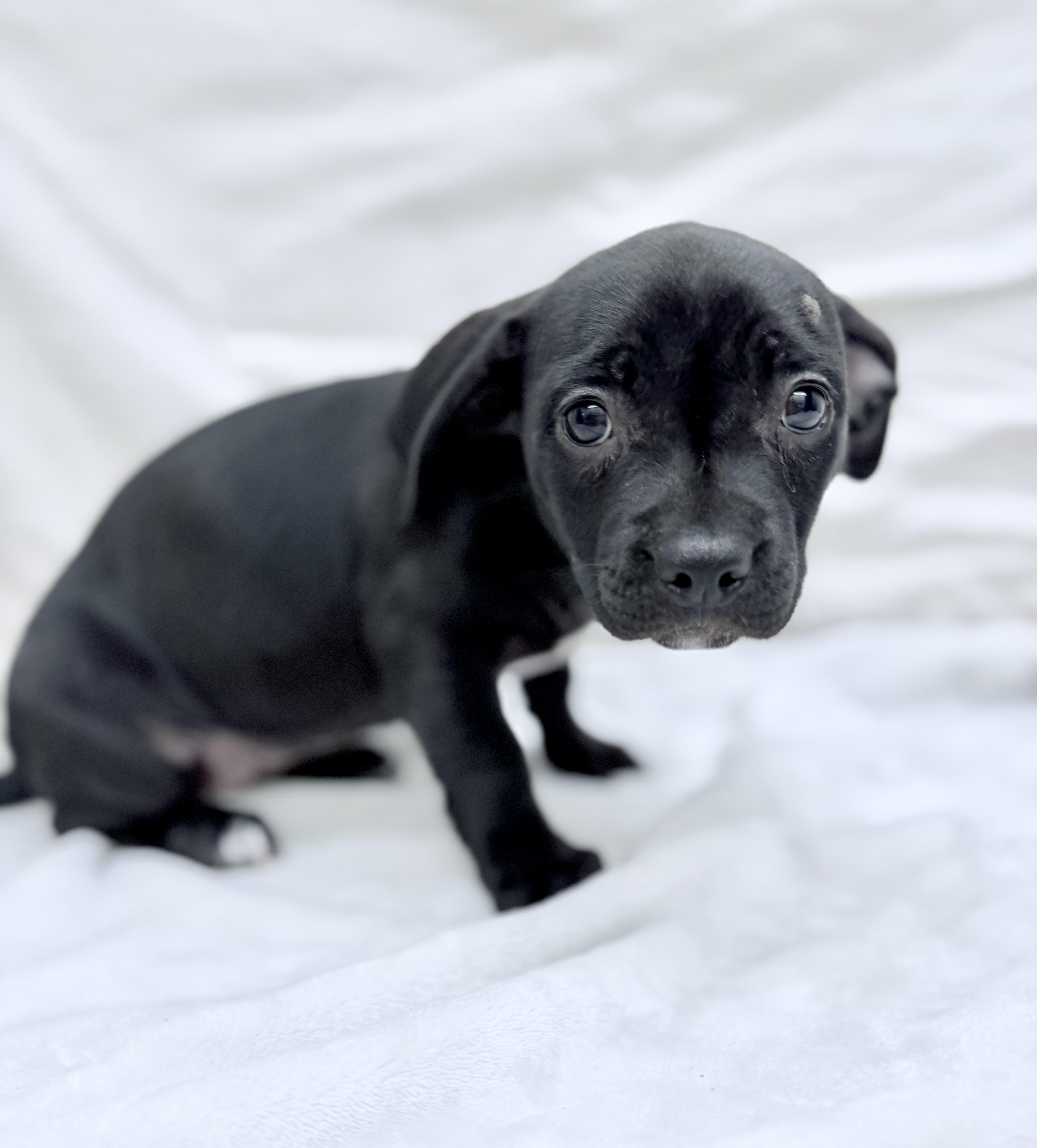 Lil Girl thumbnail 3