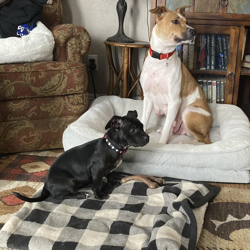 Lil Girl thumbnail 4