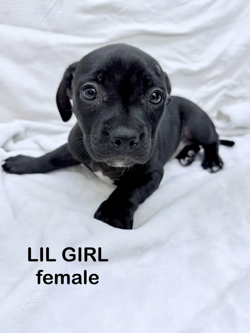 Lil Girl thumbnail 5