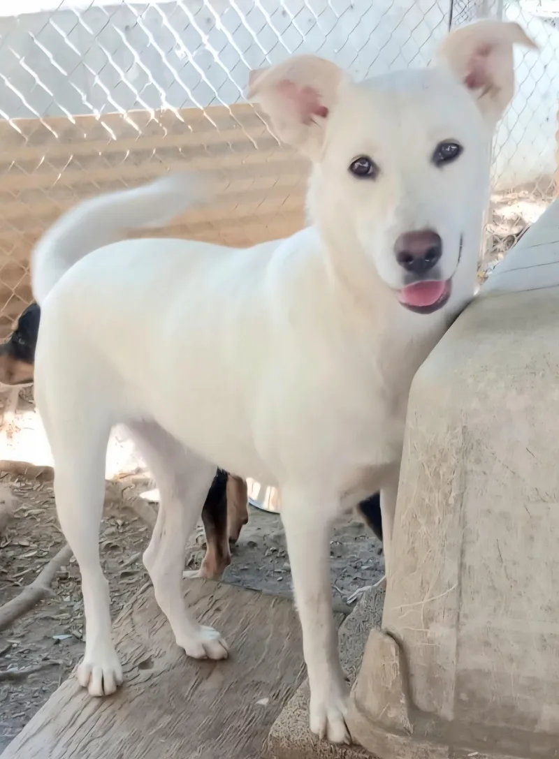 Paloma "i Love To thumbnail 2